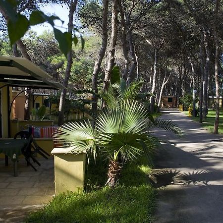 Camping La Vecchia Torre Hotell Gallipoli Eksteriør bilde